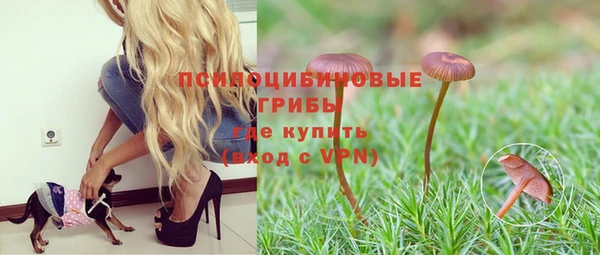 Альфа ПВП Нязепетровск