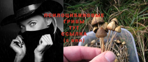 spice Балахна