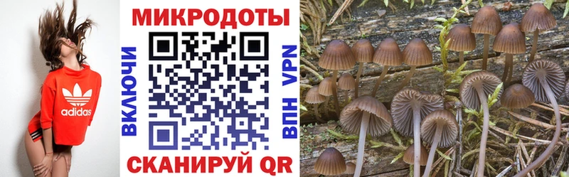 KRAKEN ссылка  купить наркотики цена  Сатка  Галлюциногенные грибы ЛСД 